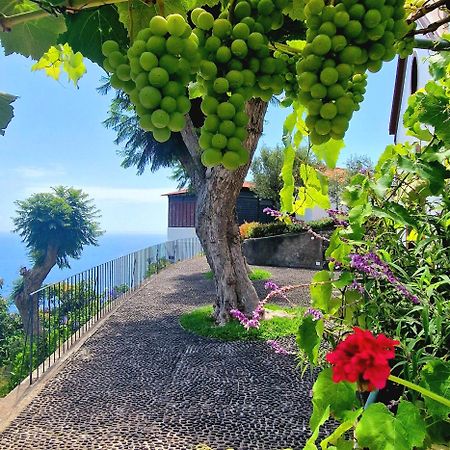 Willa Torre Bella Gardens Arco da Calheta  Zewnętrze zdjęcie