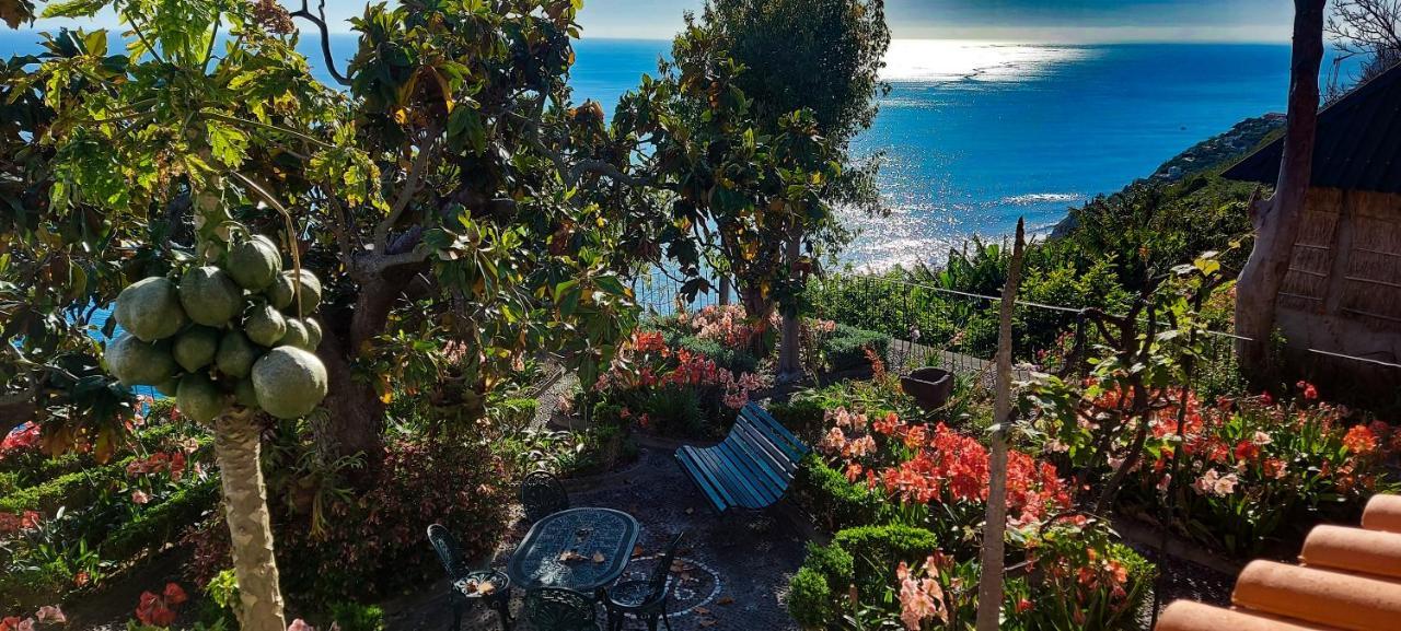 Willa Torre Bella Gardens Arco da Calheta  Zewnętrze zdjęcie