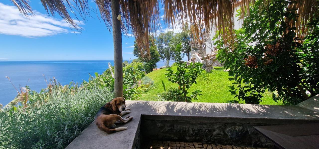 Willa Torre Bella Gardens Arco da Calheta  Zewnętrze zdjęcie