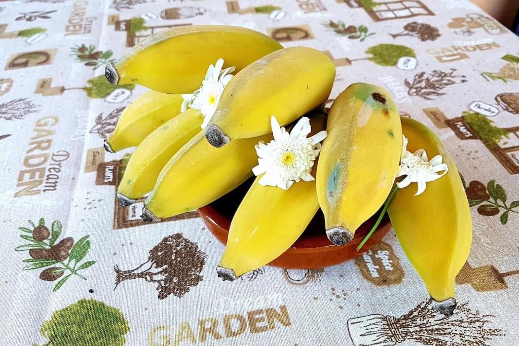 Willa Torre Bella Gardens Arco da Calheta  Zewnętrze zdjęcie