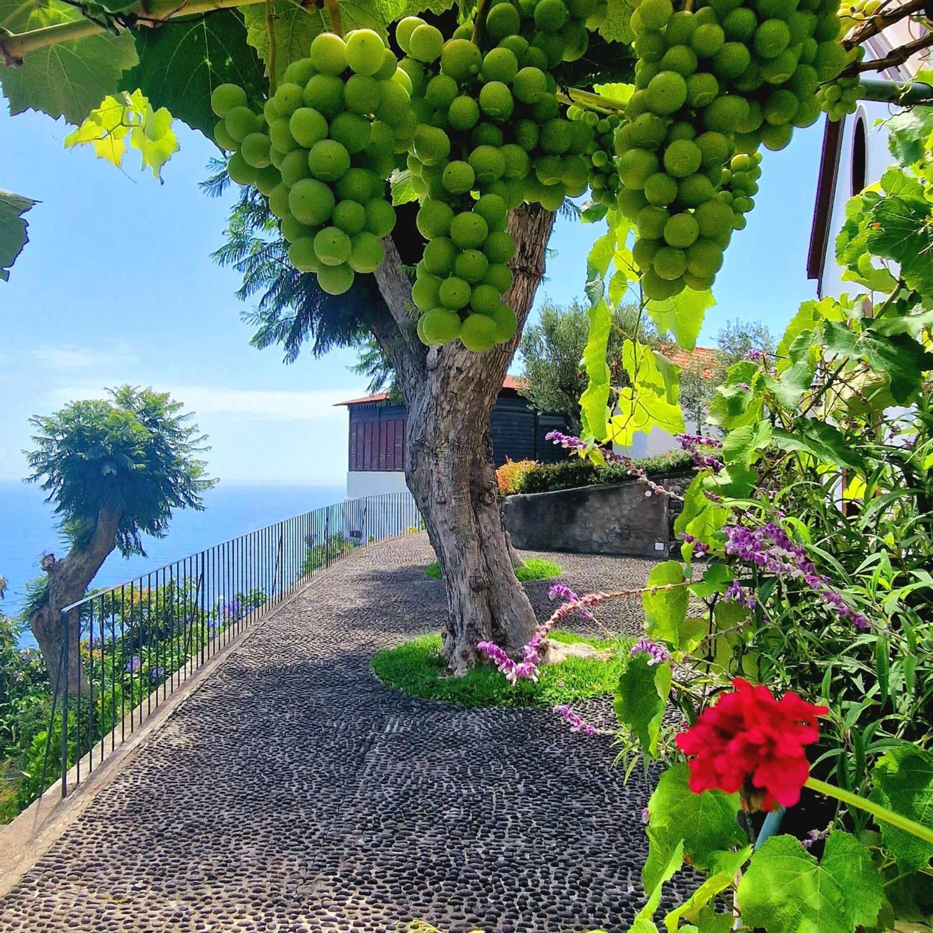 Willa Torre Bella Gardens Arco da Calheta  Zewnętrze zdjęcie