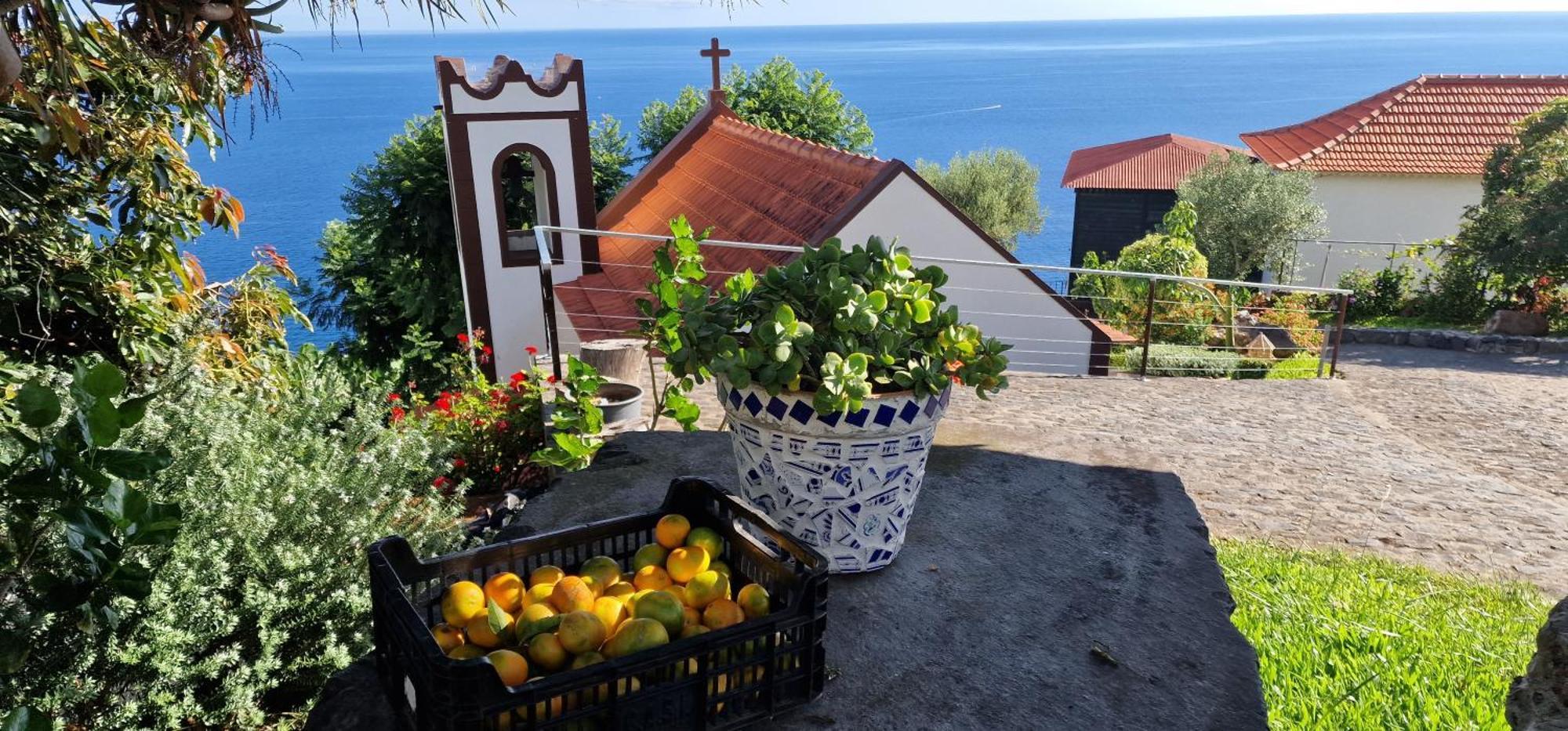 Willa Torre Bella Gardens Arco da Calheta  Zewnętrze zdjęcie