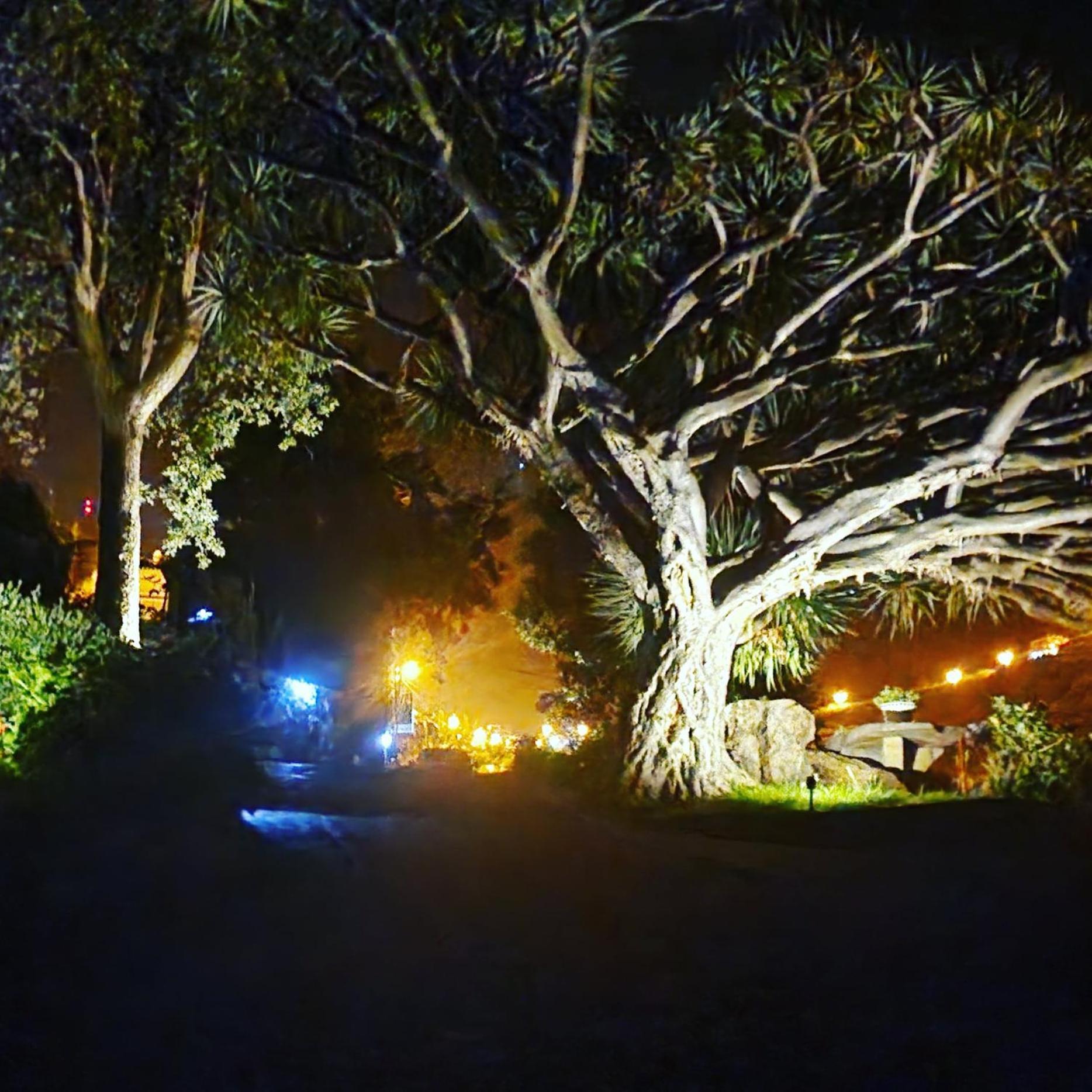 Willa Torre Bella Gardens Arco da Calheta  Zewnętrze zdjęcie