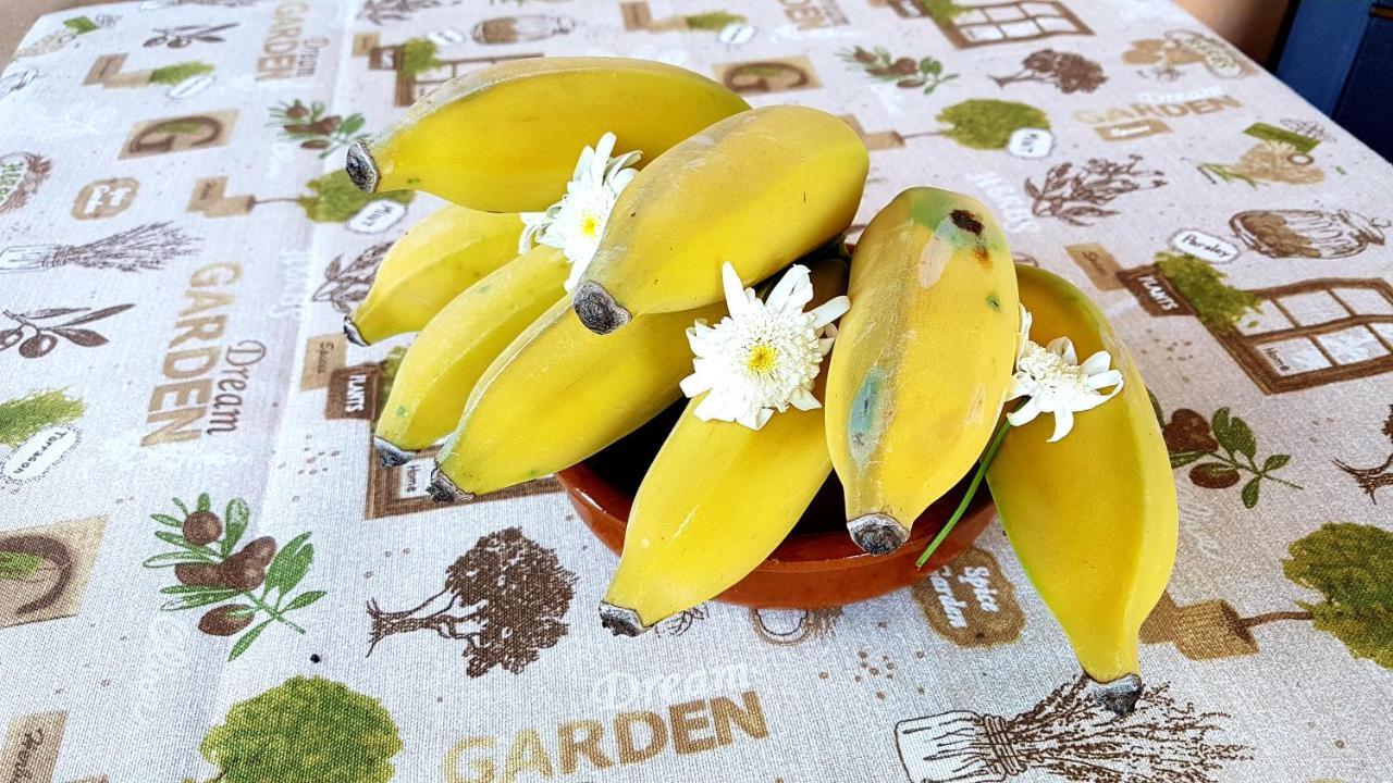 Willa Torre Bella Gardens Arco da Calheta  Zewnętrze zdjęcie
