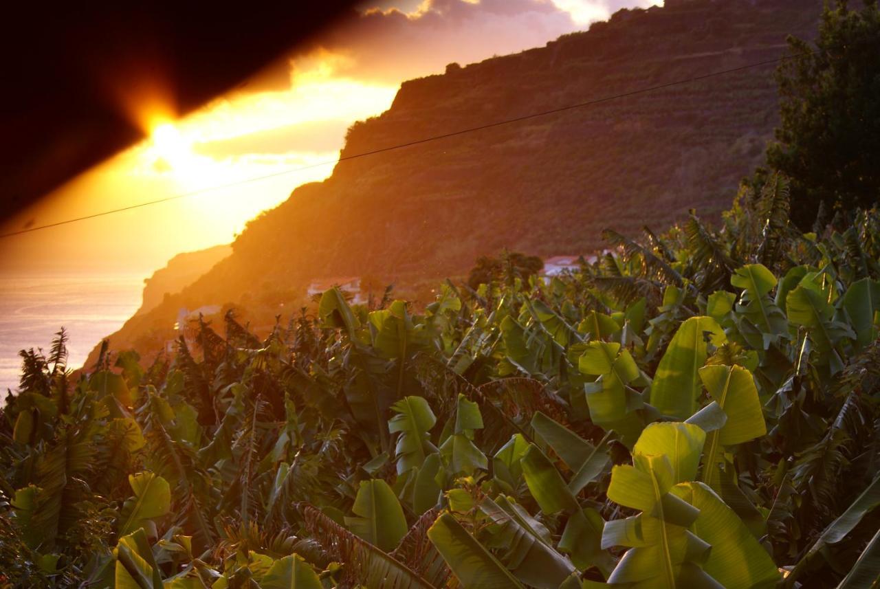 Willa Torre Bella Gardens Arco da Calheta  Zewnętrze zdjęcie
